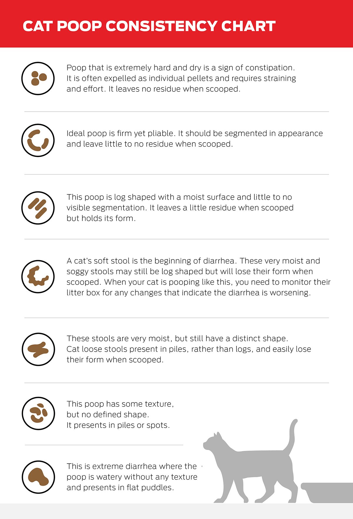 Guide to Types of Cat Poop Consistency