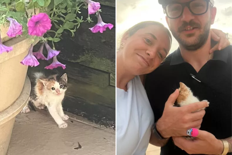 Rigatoni, Erica Williams and Cristian Gioia