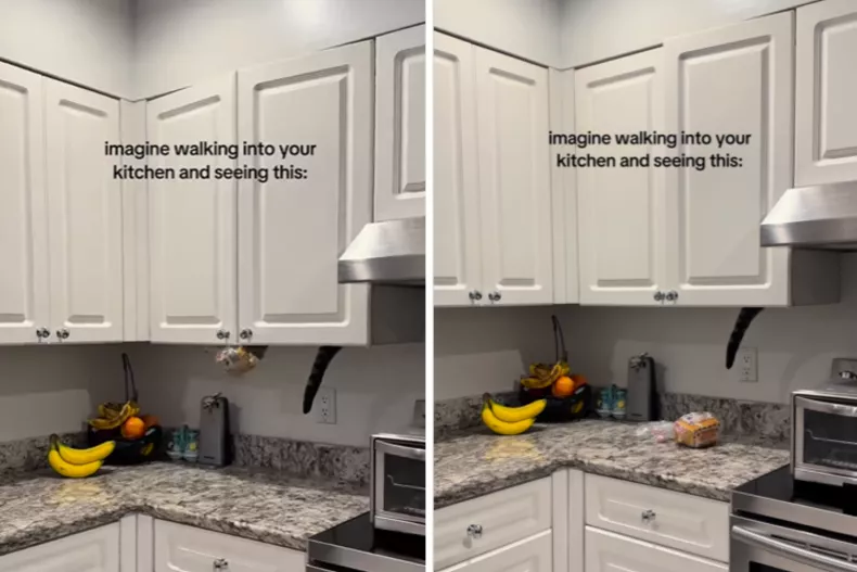 From left: Loki catches the bread; before letting it fall onto the counter