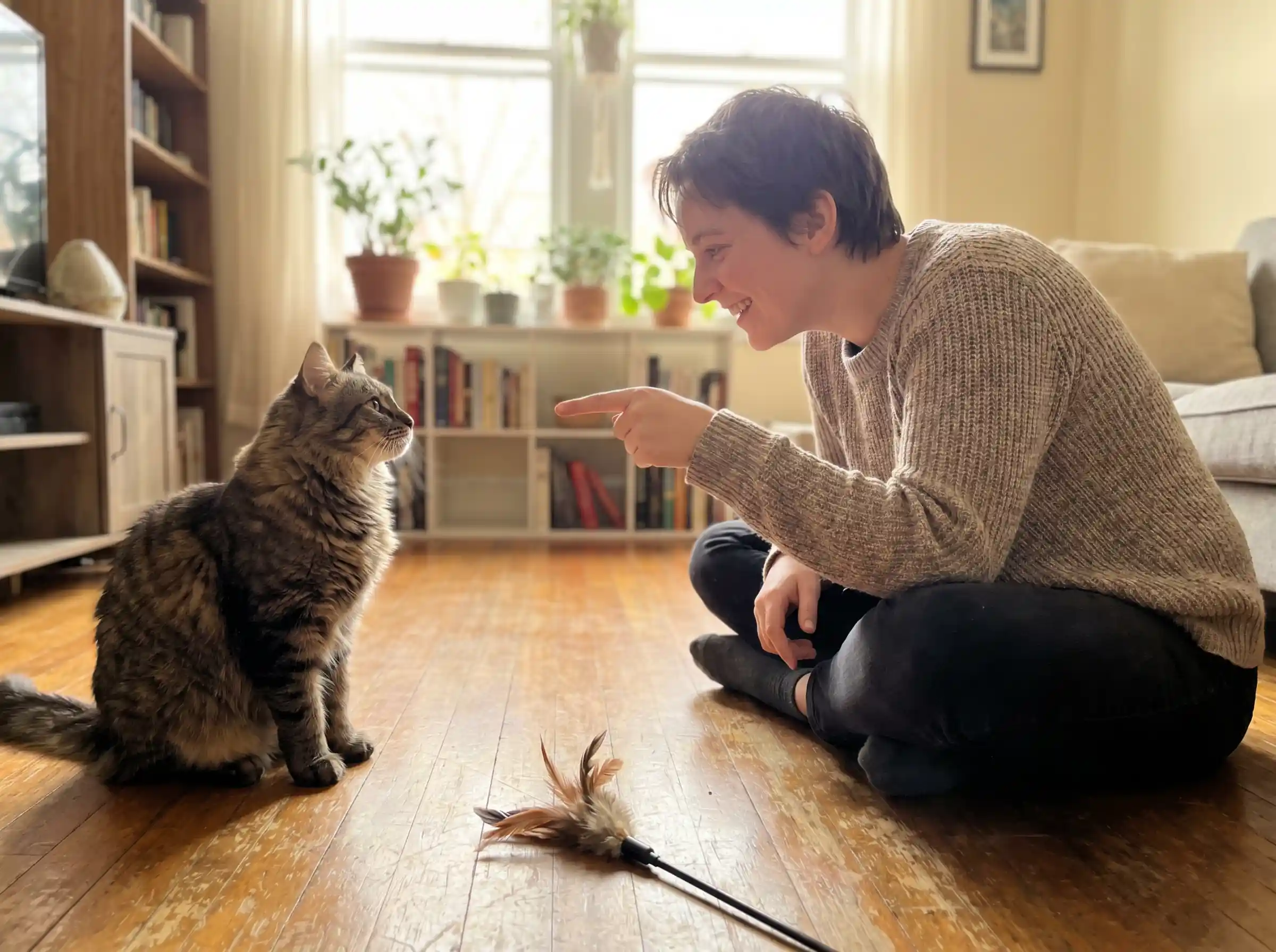 A cat making direct eye contact with its owner who is pointing, demonstrating feline social awareness and emotional attunement