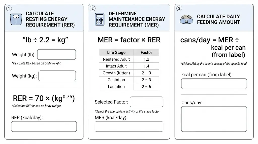 Step-by-step worksheet showing how to calculate RER, choose an MER factor, and convert calories into cans