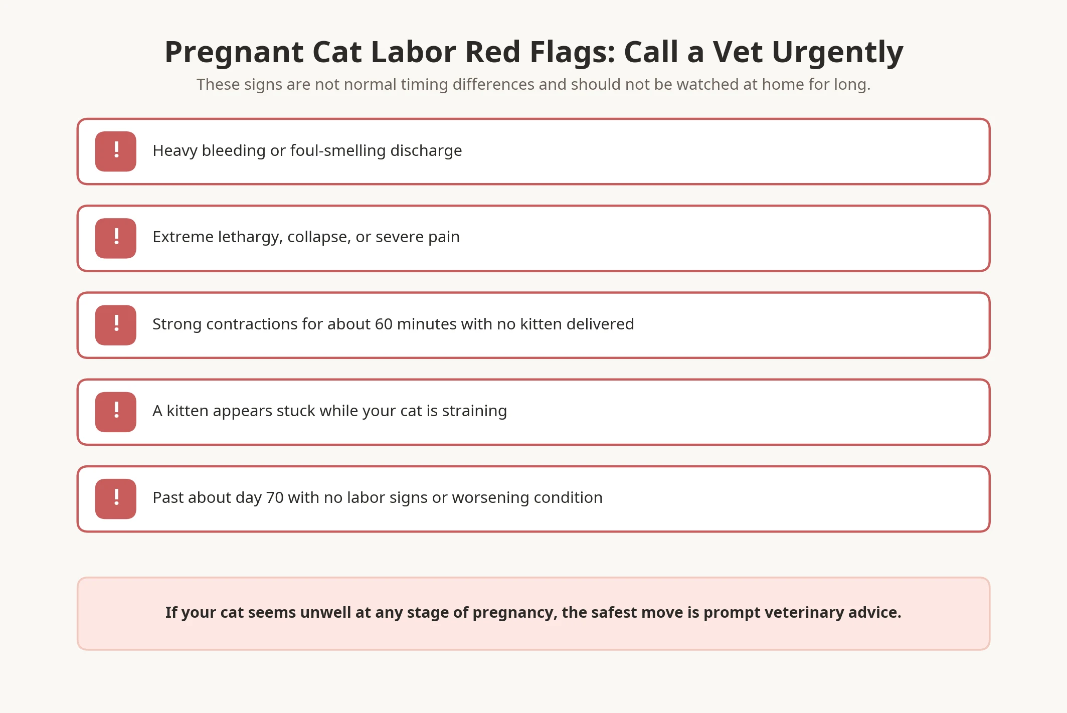 Urgent labor red flags in a pregnant cat