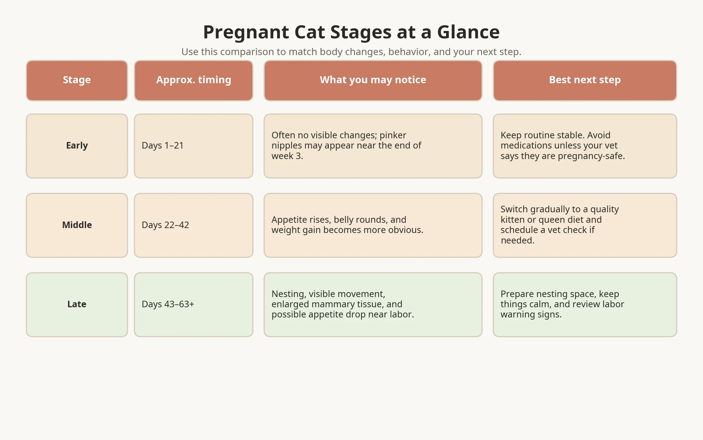 Pregnant cat stages comparison chart