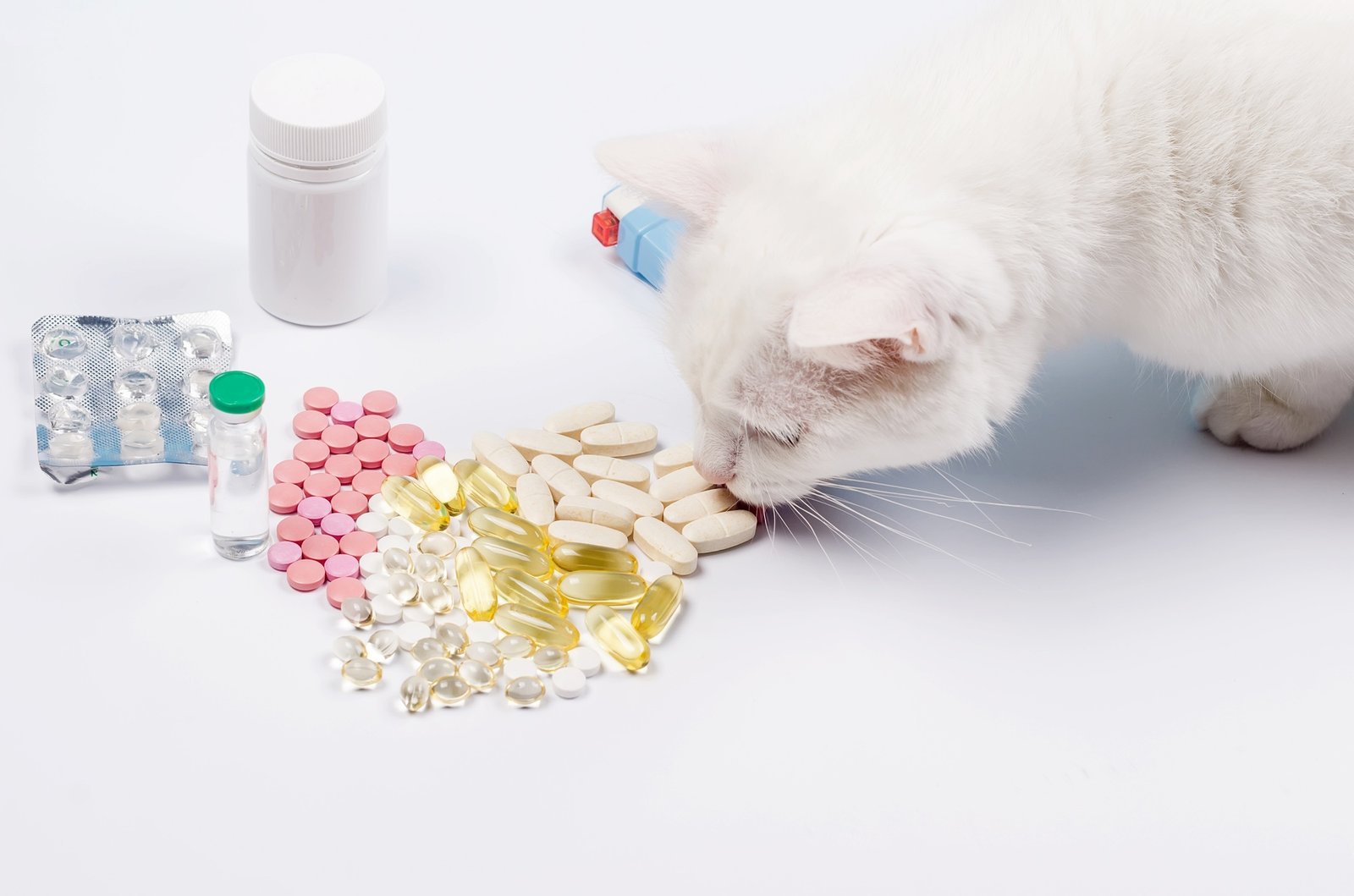 Vitamins or tablets for cat. Animal nutritional supplements on white.