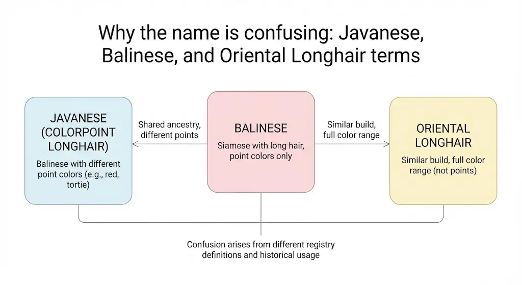 Javanese vs Balinese