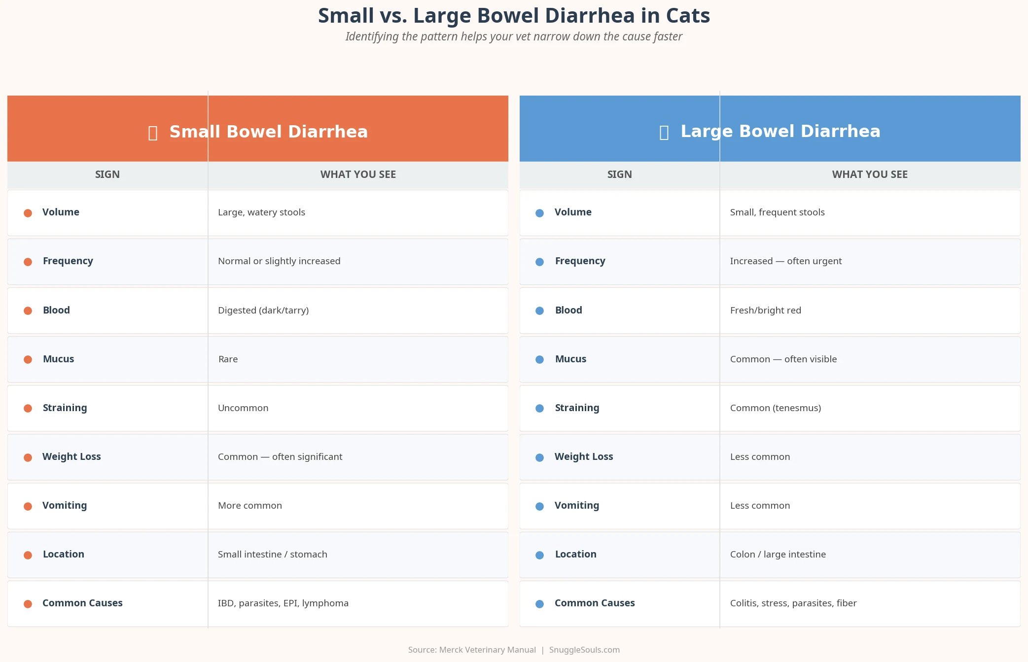 Small vs Large Bowel Comparison