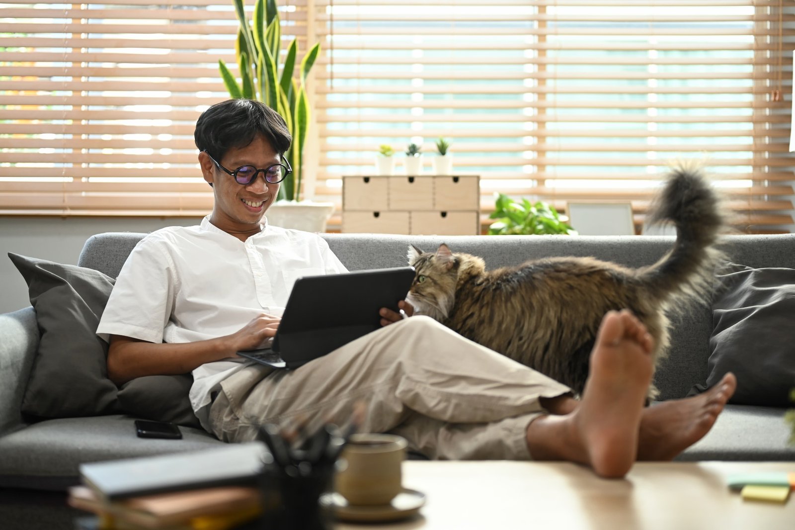 Smiling asian man sitting on couch with his cat and surfing internet on digital tablet.