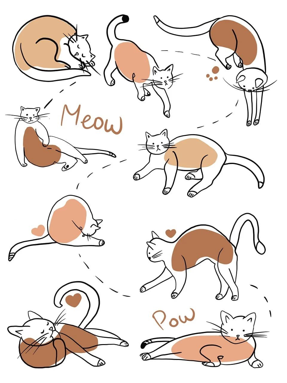 cat comics
