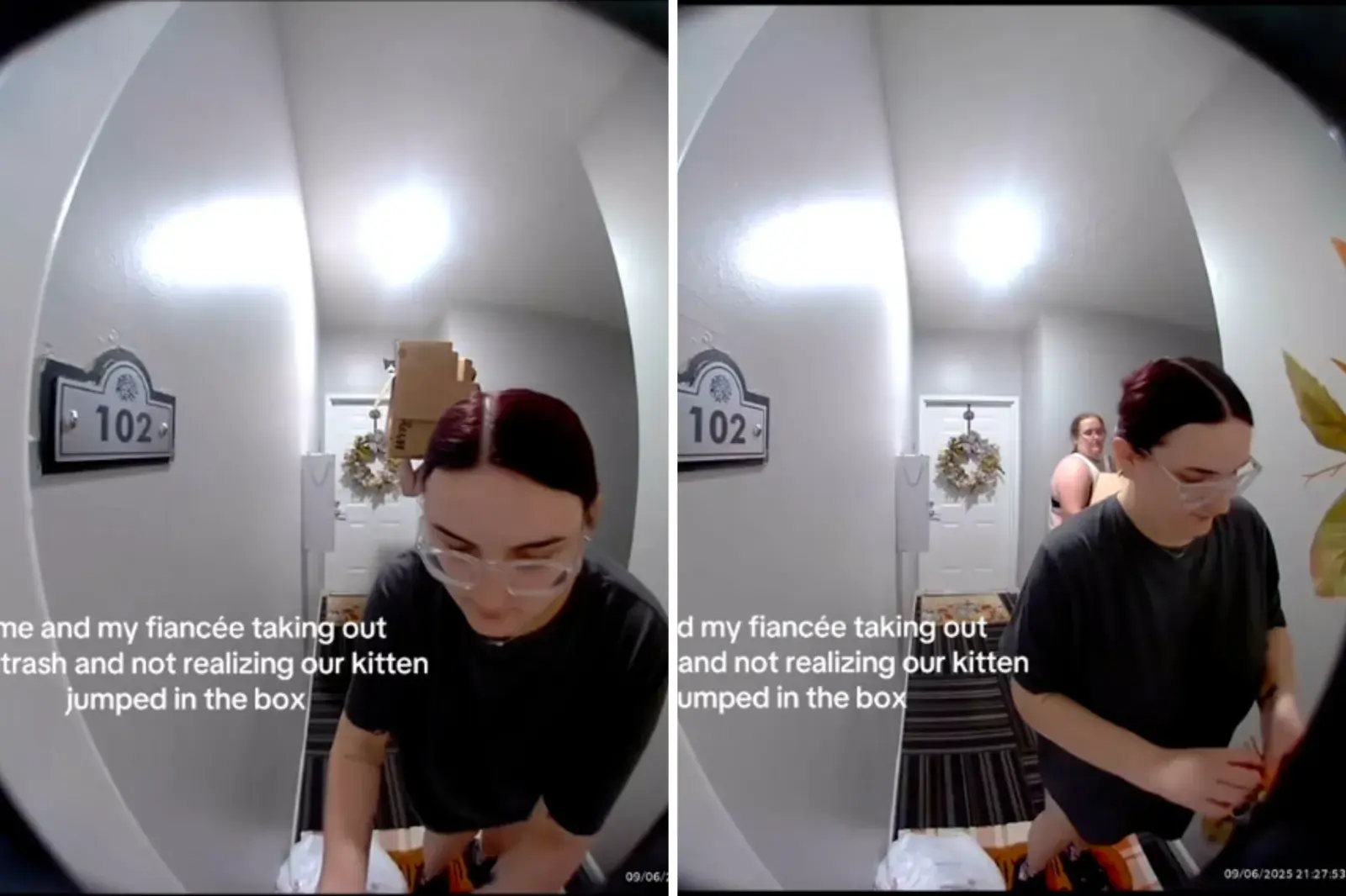 Screenshots from a September 6 TikTok video of a couple taking out the trash without realizing their cat snuck into the box