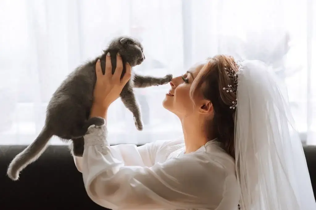 A cat puts its paw on a bride's nose