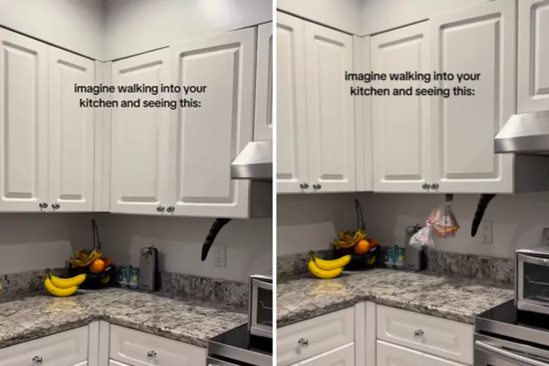 From left: Loki goes in the kitchen cupboard, stealing bread