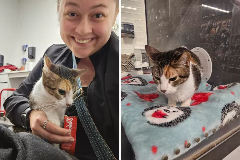 Signe with Hannah, and right, at the store