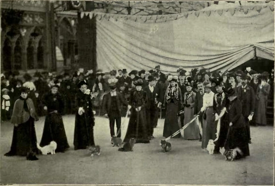 Historic cat show scene with rows of cages and spectators