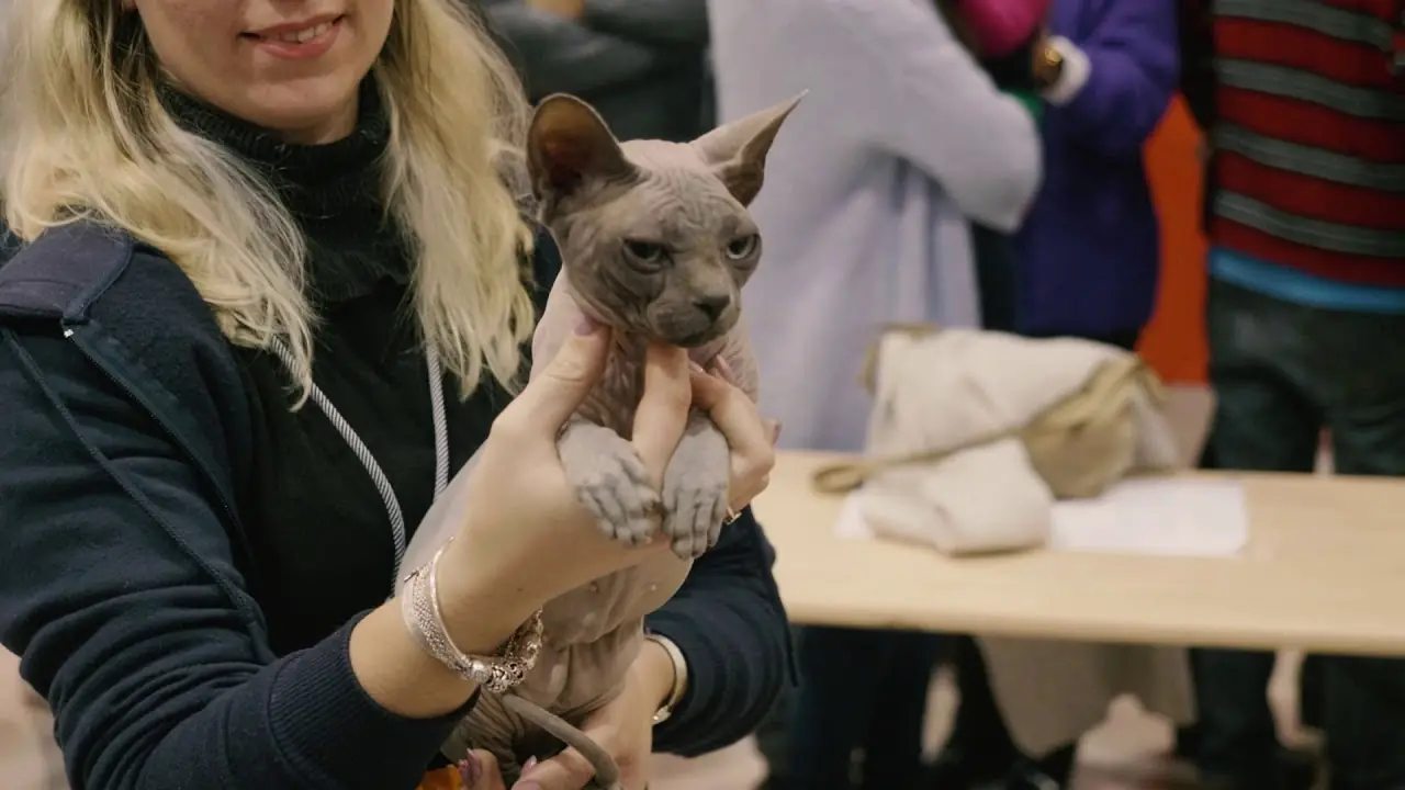 PET Festival Lisbon 2026