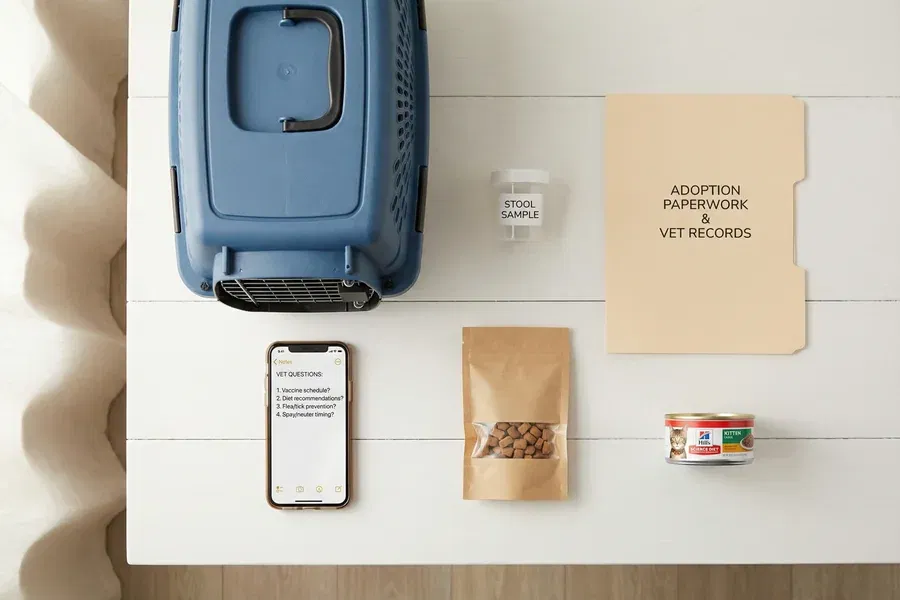 Flat-lay of essential items to bring to a cat's first vet visit including a cat carrier, stool sample container, adoption paperwork folder, smartphone with vet questions, cat treats, and cat food