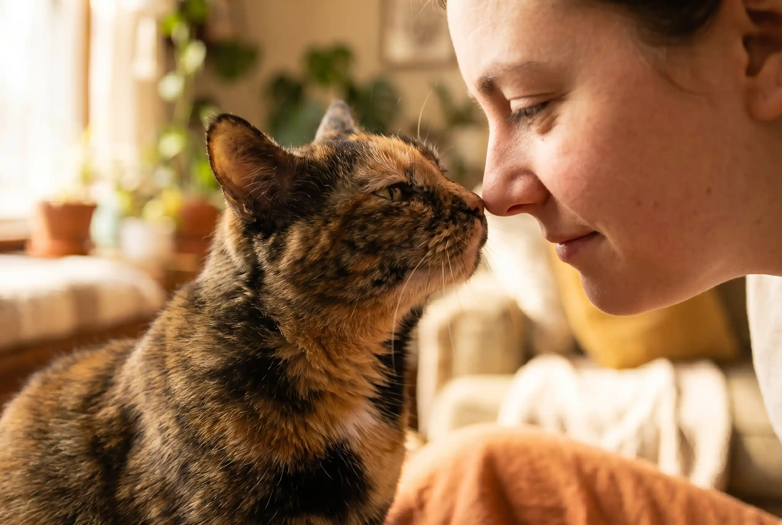 Lucinda and her owner sharing a tender moment of connection